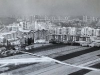 Dugave 1980-ih godina
